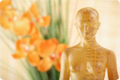 The Acupuncture Institute