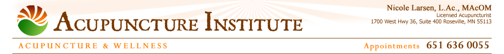 The Acupuncture Institute